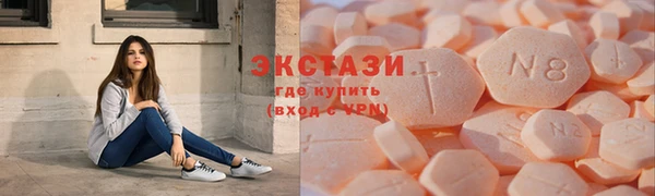 ECSTASY Инсар